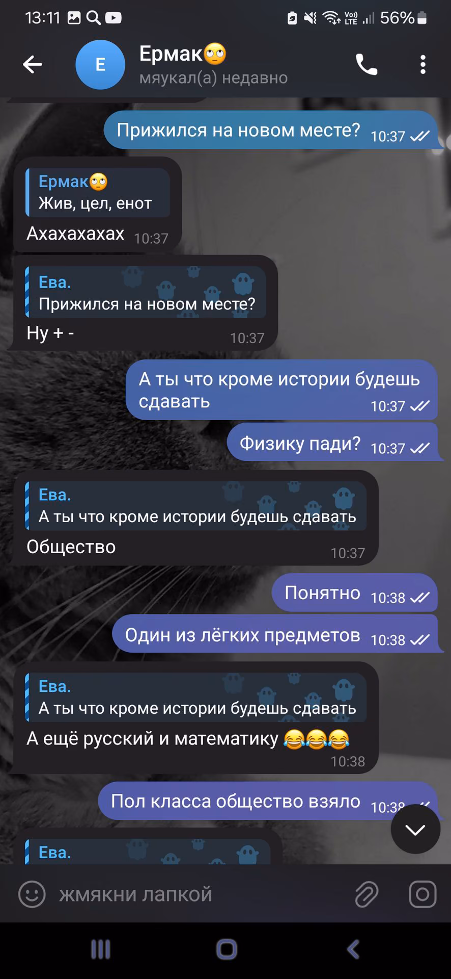 a05f85240be1b3bf89fc43fcdf1d5e2a.jpg