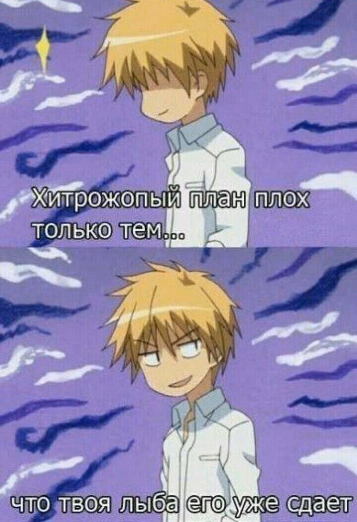a06e70bb8c013193dd5df7b0001bc4d9.avif