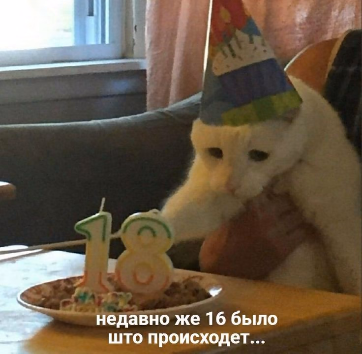 a07623c09d51ce2308e56ea4118d535e.jpg