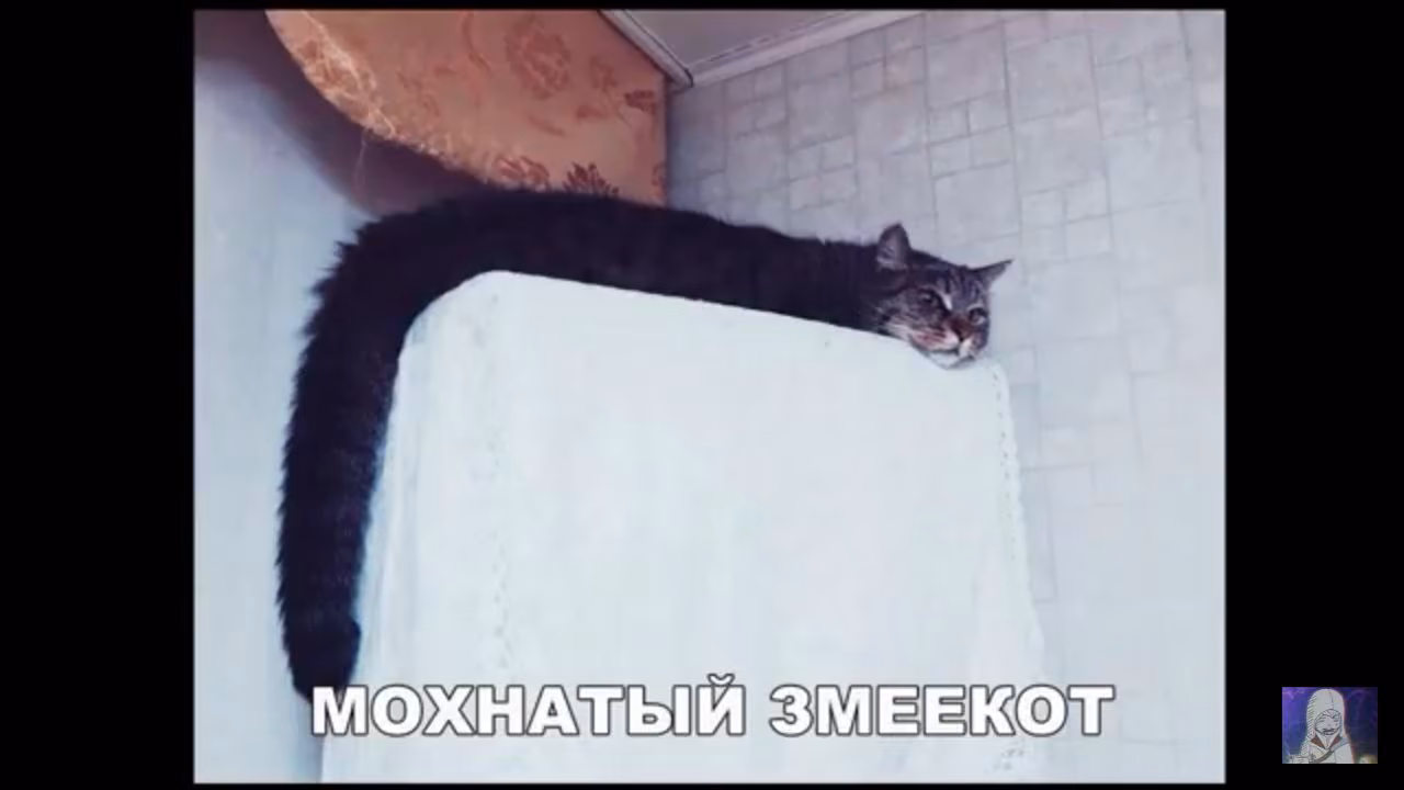a08113a43230610298bb662cd9cd9114.jpg