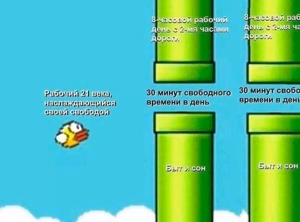 a08463a727dff656a0a59f7b370adbce.avif