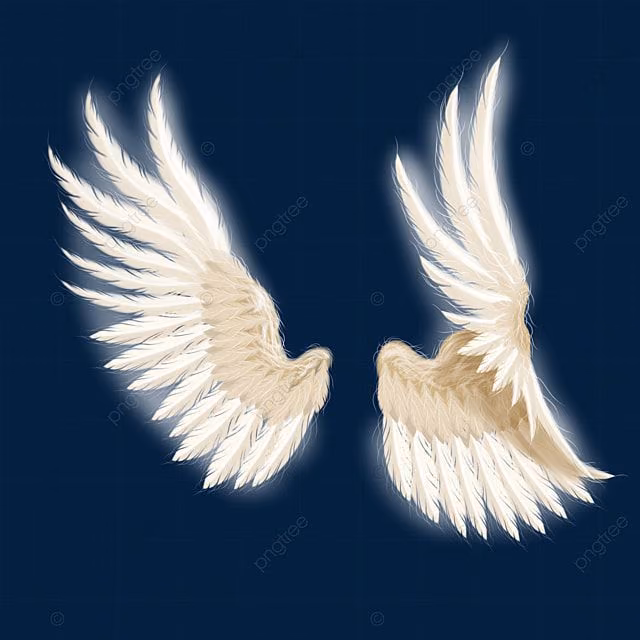 a08b054db3da3ea0695ae9fec76adfbb.avif