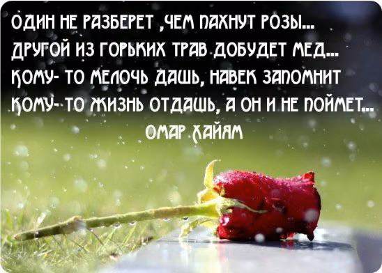 a097253bc454a9d0e693feec604809d9.jpg