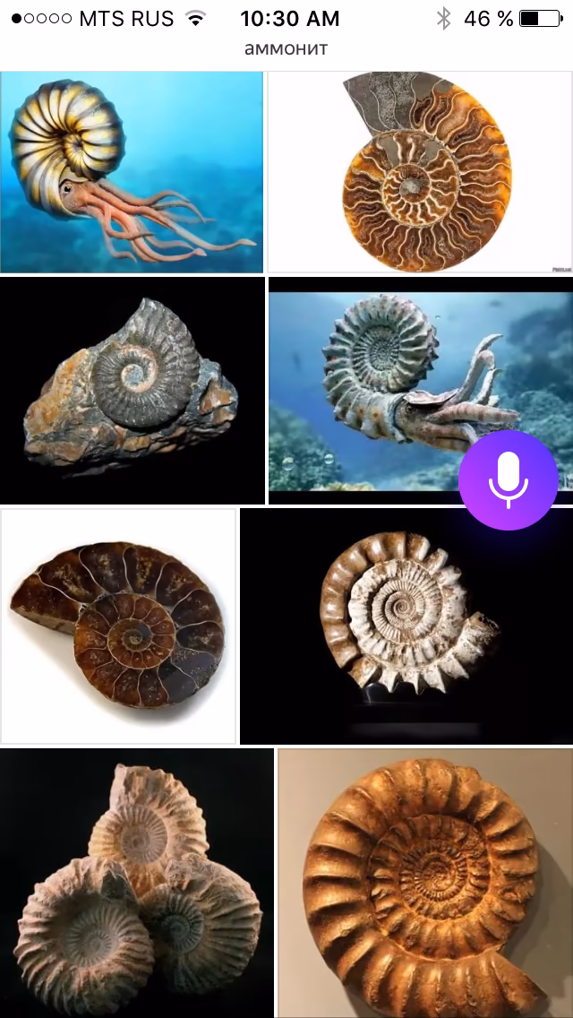 a0a1f45bbfd21acc8cca141553e787d4.jpg