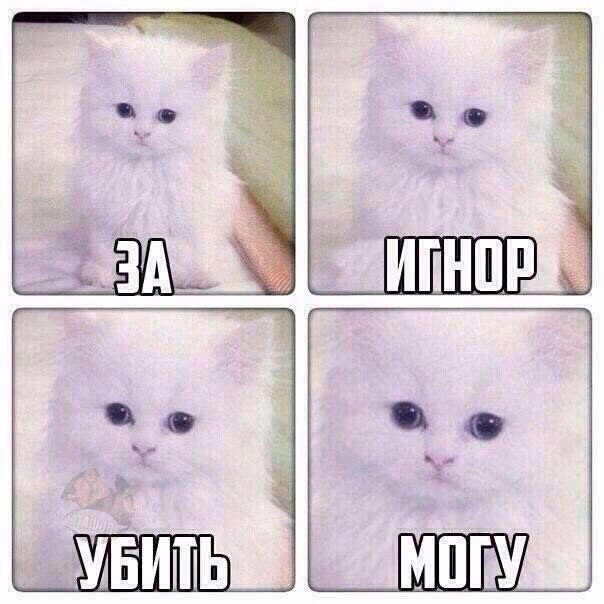 a0a72b54680973ea69d89adf8c511768.jpg