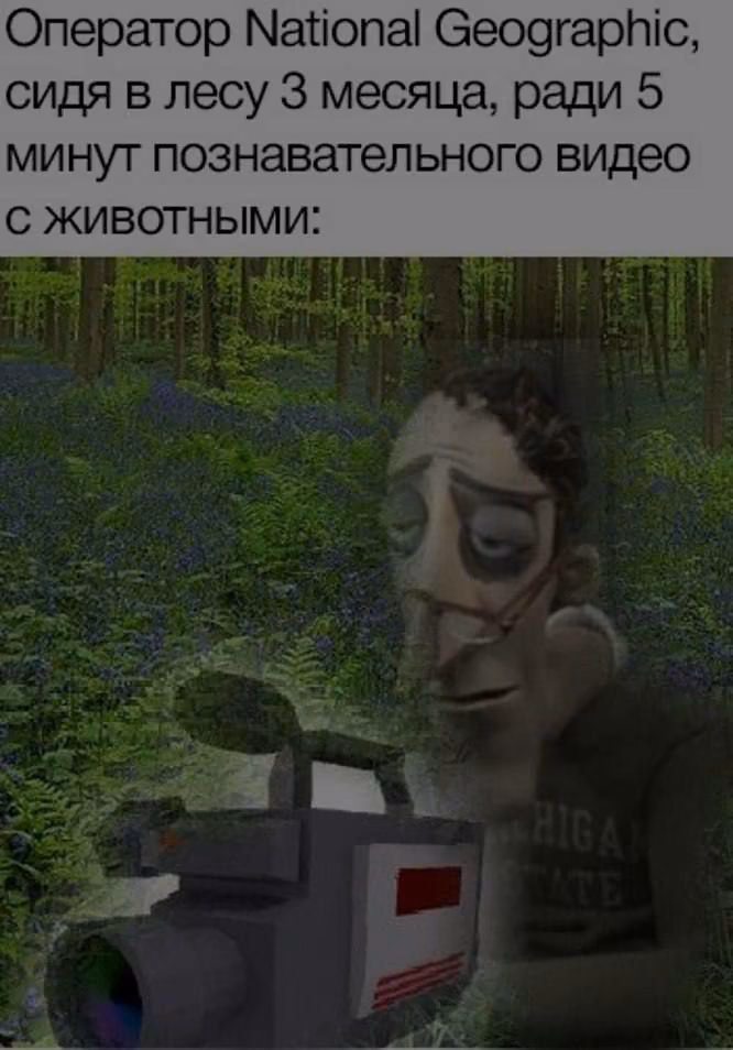 a0d3b8b119c354b7222f27cb125c8d10.avif