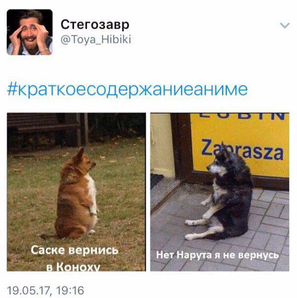 a0e1cc8d10b6e1e6936af64c109be782.jpg