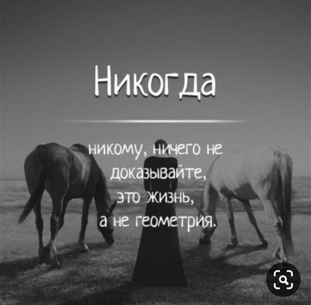 a0f6be9a8d930886cda480dde5dd8dec.jpg