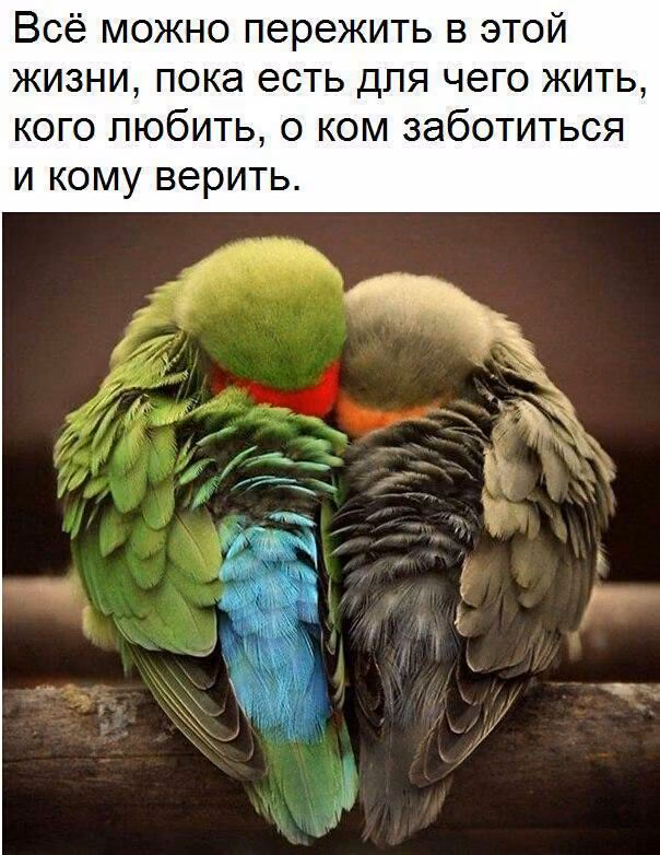 a0ff045909f59bbeaa6e175fc2209b9f.jpg