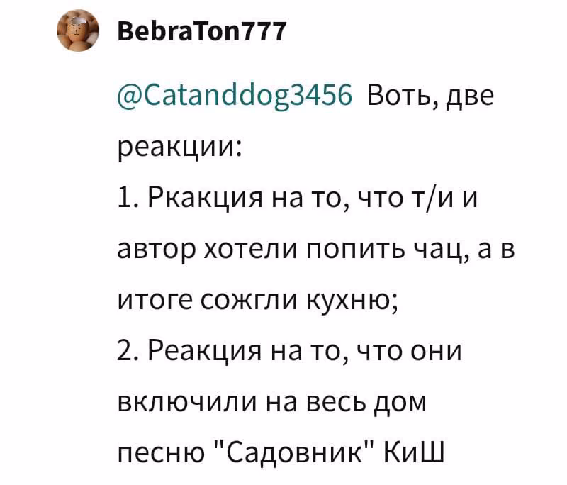 a1056e22c690d05b1f402e116180254b.avif