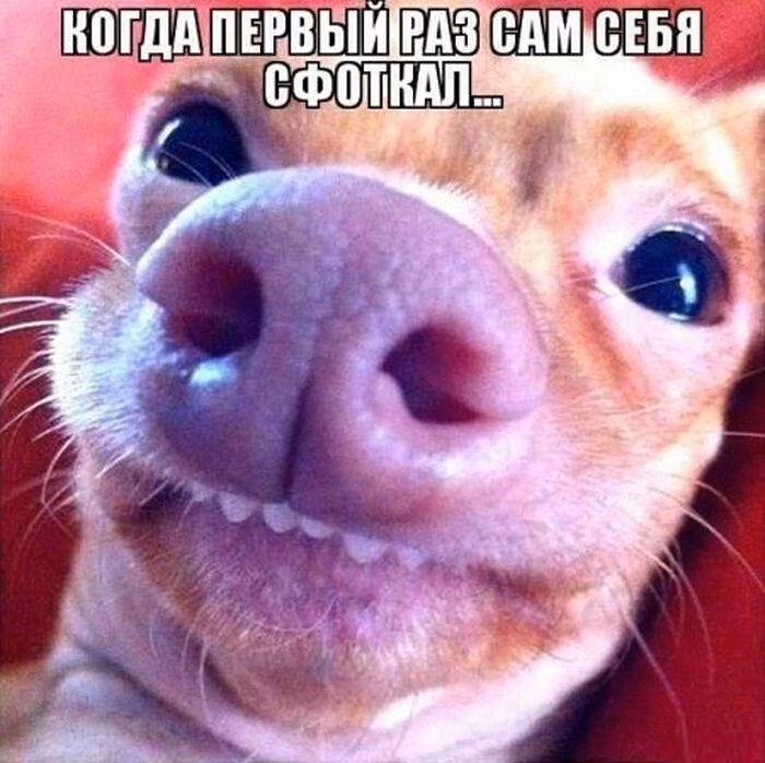 a11fd87e3f0c8c3945e4bc92ad3dd8a0.jpg