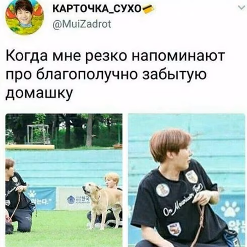 a1300677f899cd0f4aacf64fe82f48bd.avif