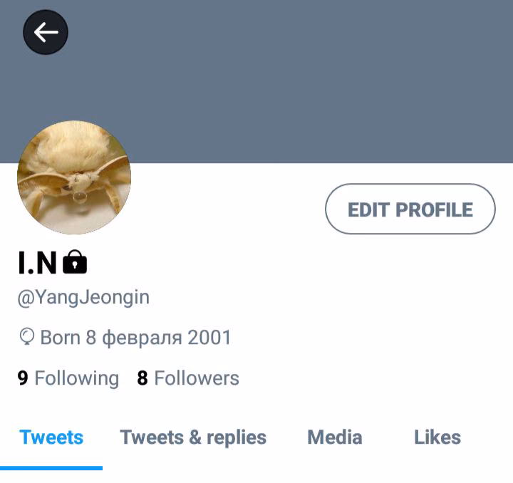a13092d57c34a86d83e9d64bb41a5fec.avif