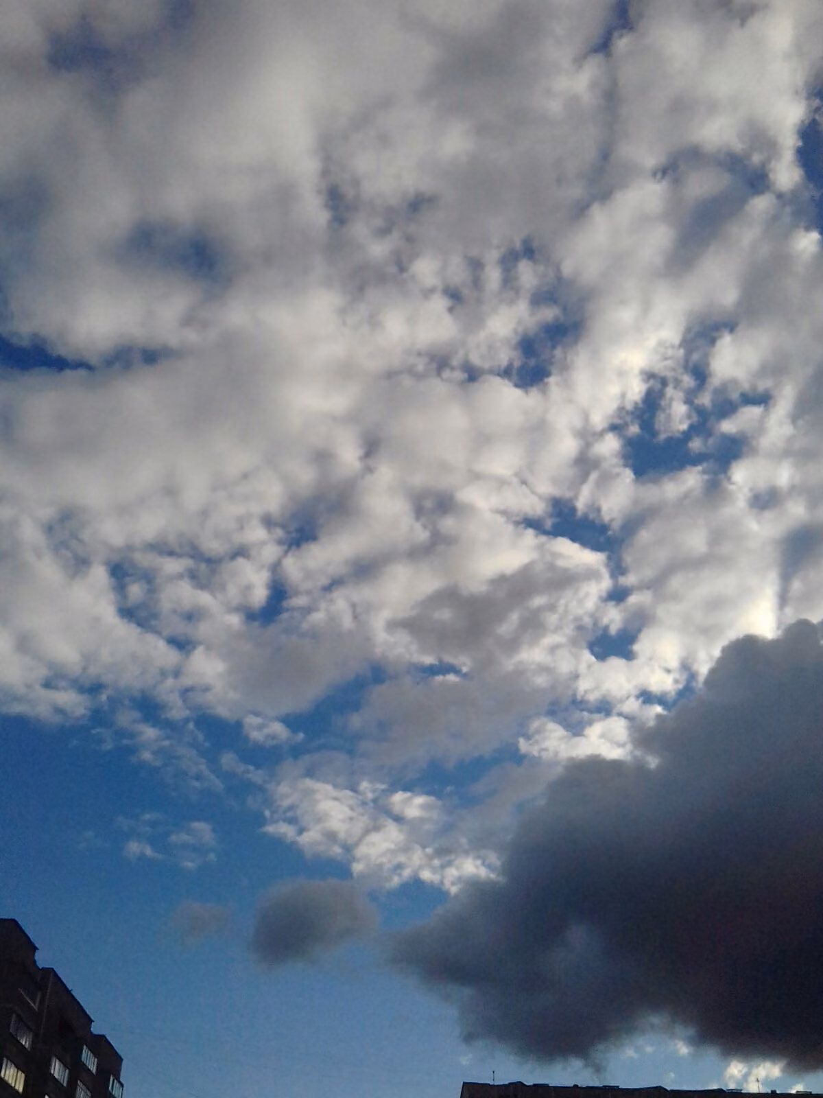 a133e076561ecfff701795c09a612136.jpg