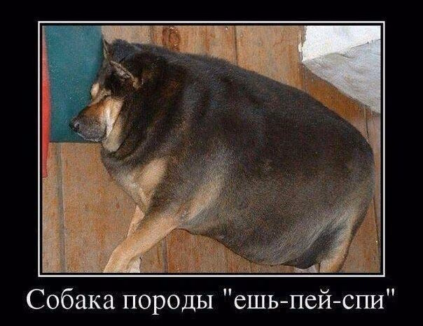 a13bedefa1dc4a36f9d268f37785e55e.avif