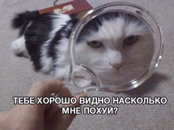 a13c5b3ca27ef2b1a55eb8cd87e1ae29.jpg