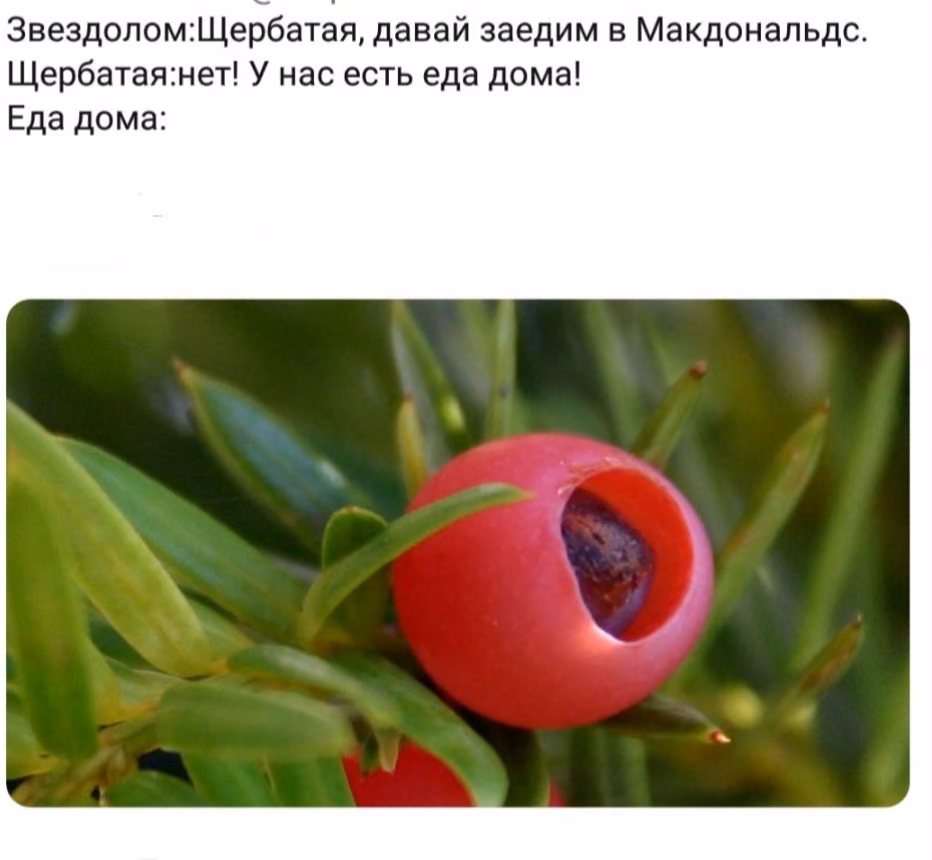a13f3b044e31d9a13c24a5231d4d70a8.avif