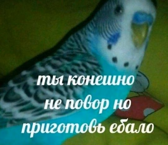 a1455ee98fce9a97bfdad60e656c99e7.jpg