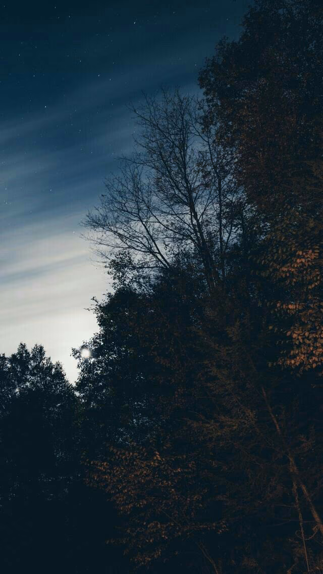 a1507f52b1fcd4d286325e7f8113135f.avif