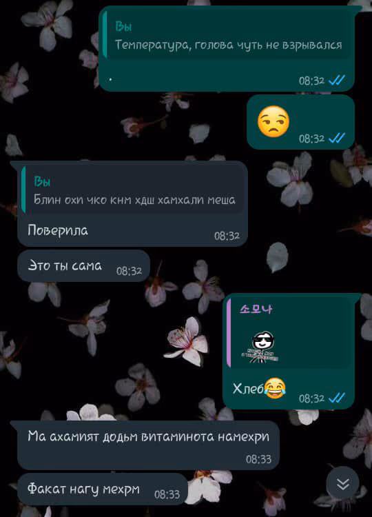 a158ed5e4a0caa8cc17ecd1a8ba7df12.jpg