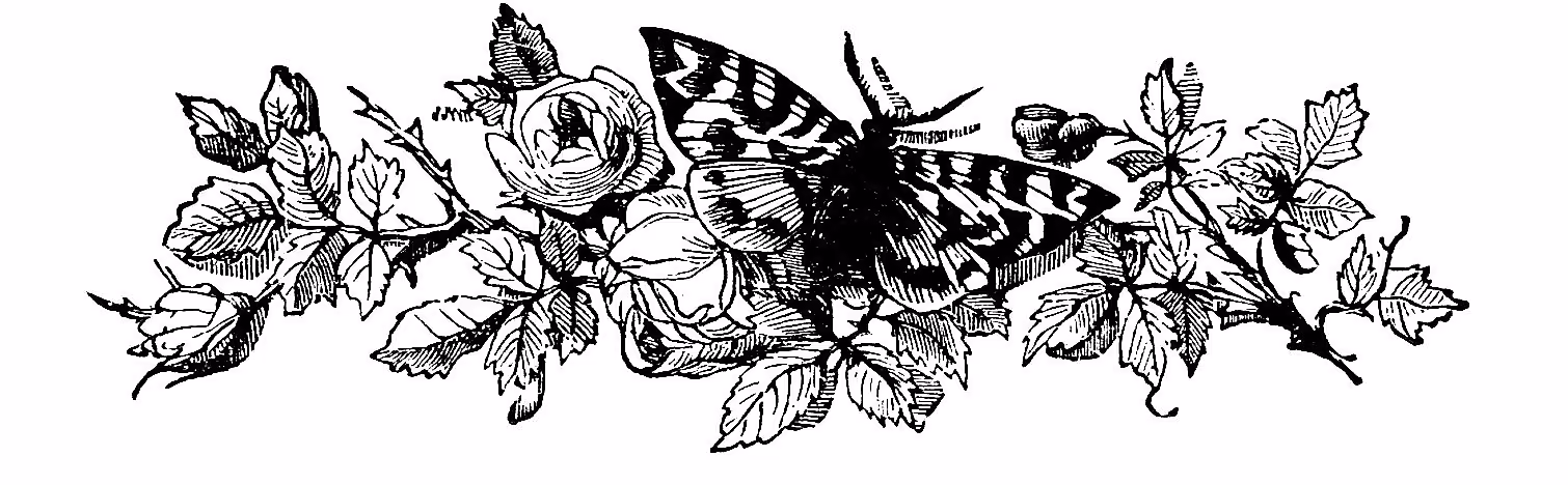 b457e6208aacadfb1d5fc743b70d2214.jpg