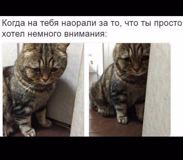 a1623a19ee32d093c8c2d7e9176b6f7b.jpg
