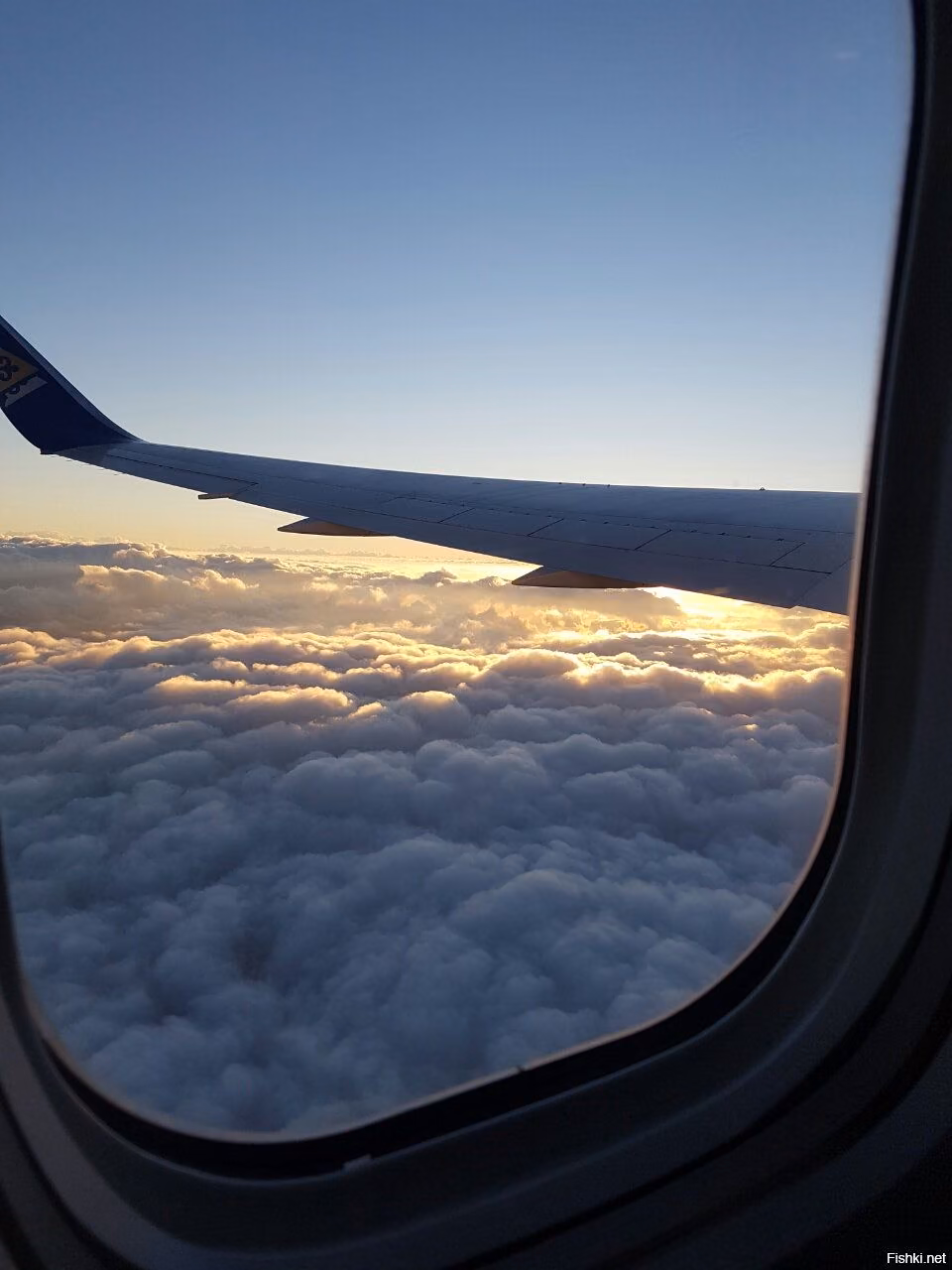 a1663f0d012e290215cc1b20d7501ed4.avif