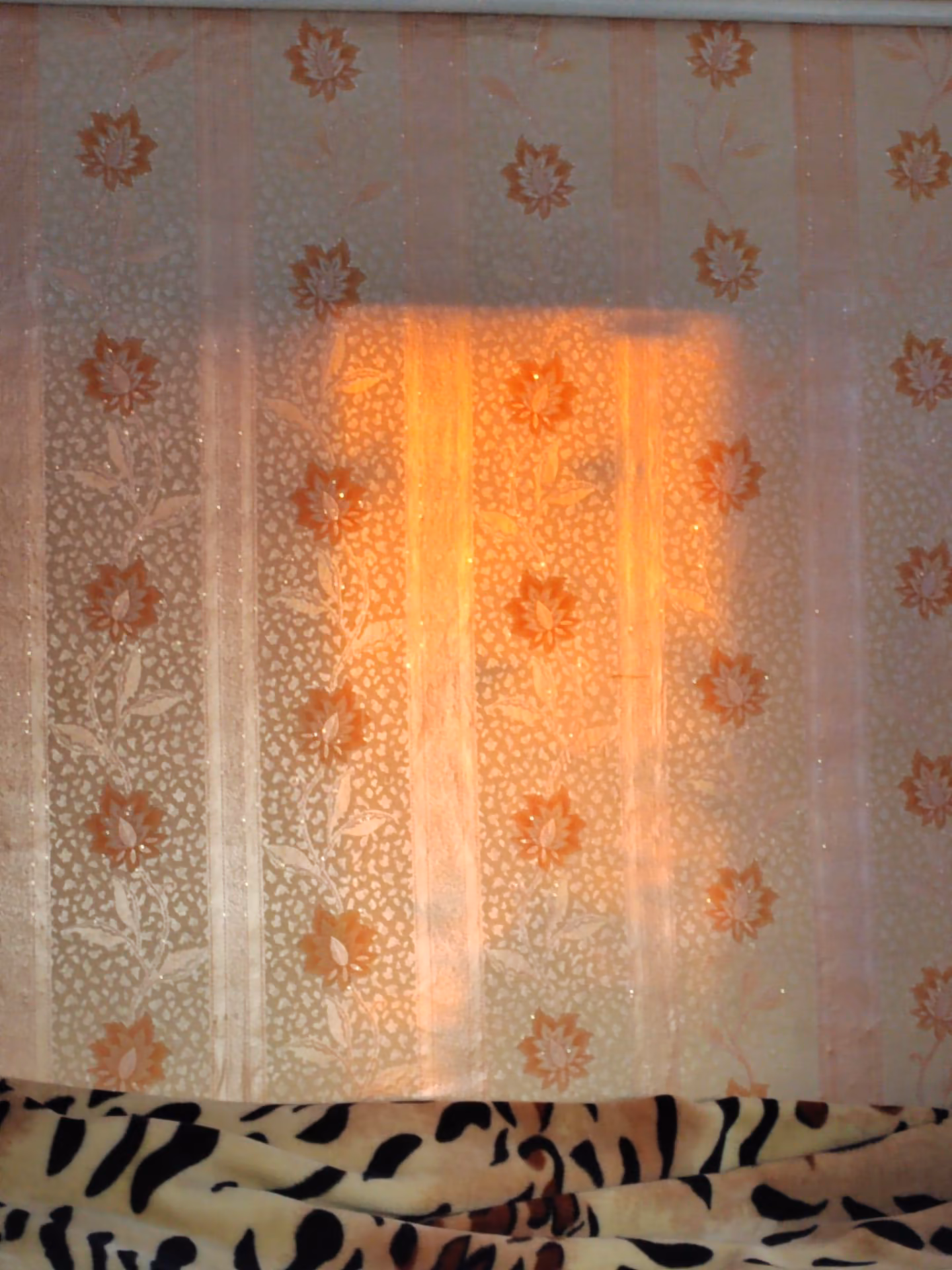 a16c6aca5fbb0dc28ef86e104414dbbc.jpg