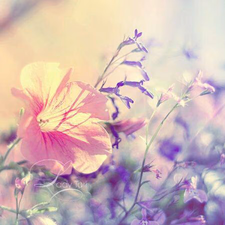a16e68490e6c8c4b763385a567aadc4f.avif