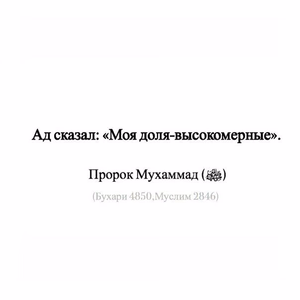 a17d345383038cfabddf503395c5f79f.avif