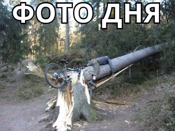 a17f49f415b635802cc0f691b180a04d.avif