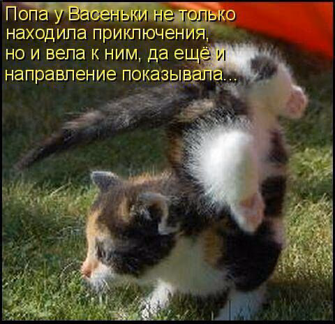 a18814fc7d84df3e57e09ebf4035a02c.avif