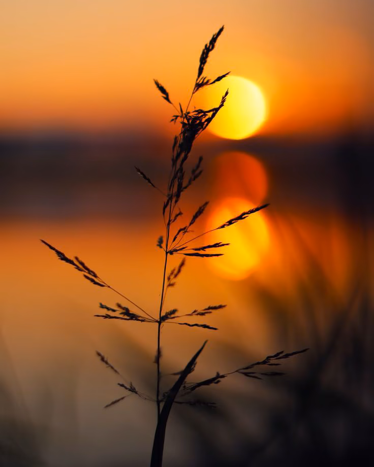 a18a741cef0a854dd02145f82e656683.jpg