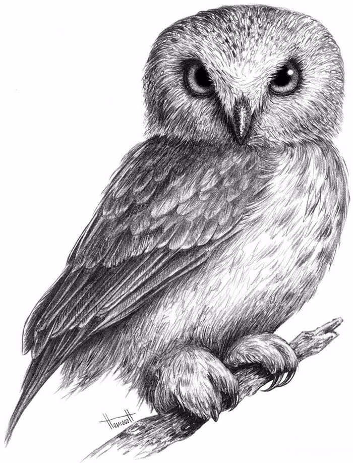 a1a62e8d55c1718f66410d7ddaadbb50.avif