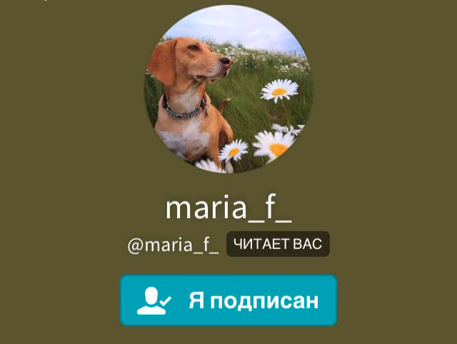 a1b0b3a6b8f50e48527661b73efd6fdf.avif