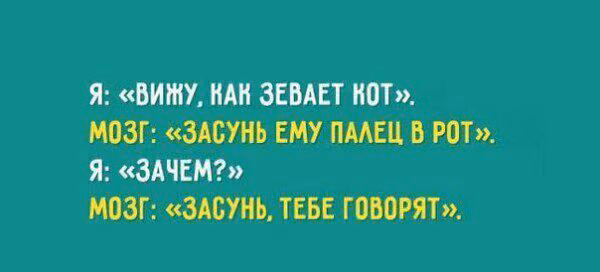 a1bc93b6f4ff06c4ffaedd10cd5e7f73.avif