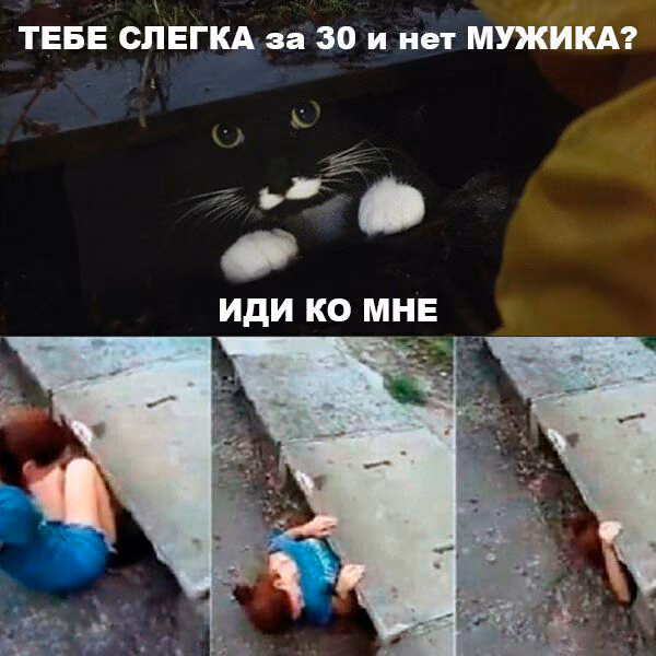 a1d242d0d4b15db6dd2b024d73052d1a.jpg
