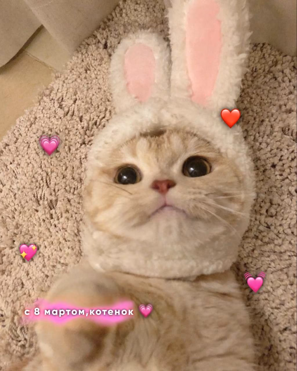 a1da0c441ba5d02113ef8b5585cce055.avif