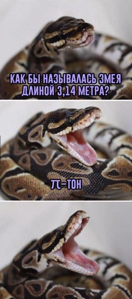 a1f0e968d6b8c74dcebf97846275144a.avif