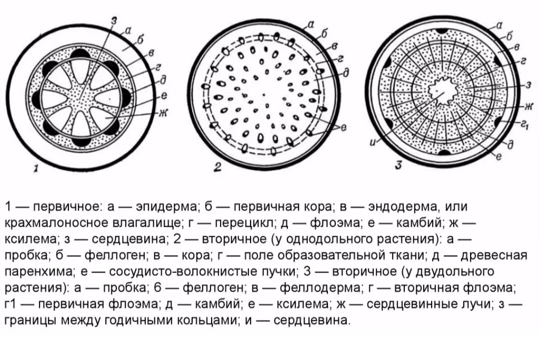 a1fd93c87685c2dea4281f846c2b4a25.jpg