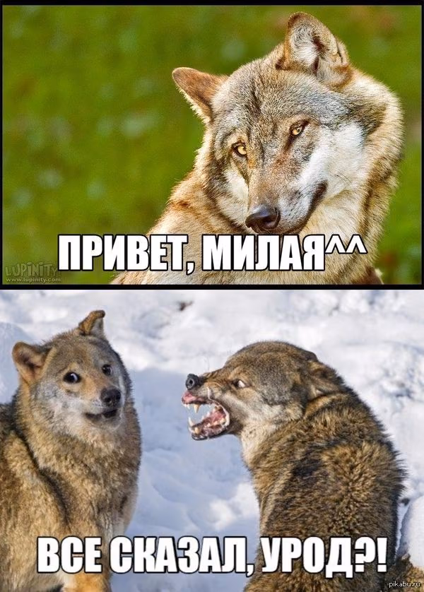 a20c149fc488018863534761c702983d.jpg