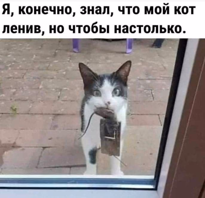 a20c5f78339b4c87a17089ee914e5a19.avif