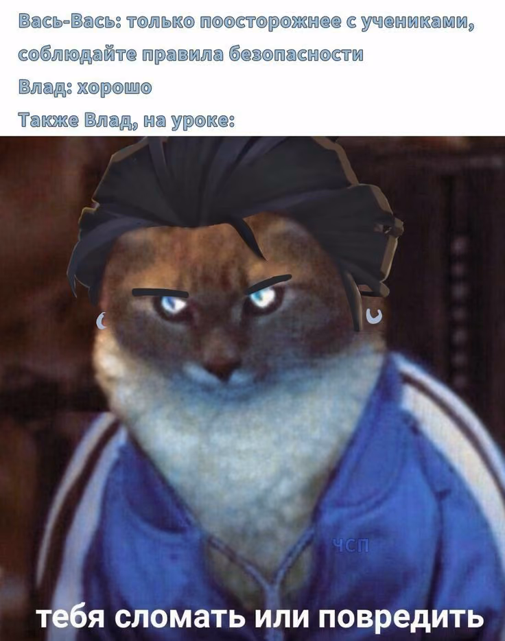 a228f6e6096fc48dfb5bdd838d7766bf.avif