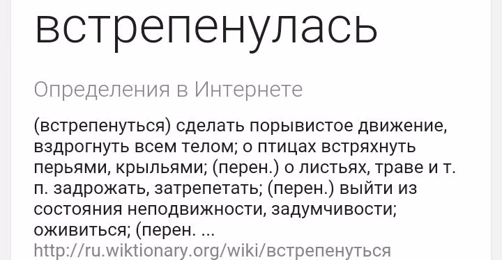 a22f343a4d5a28bb2c32e30405703191.avif