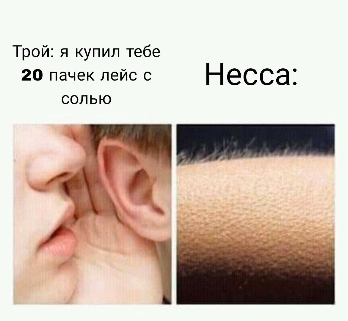 a24cf85ce7a3dbea8a02331d7d1a0390.avif