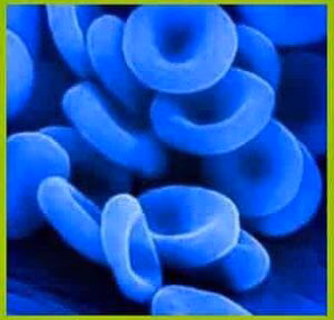 a25cde90beba875ab52e6ea74fd9f082.avif
