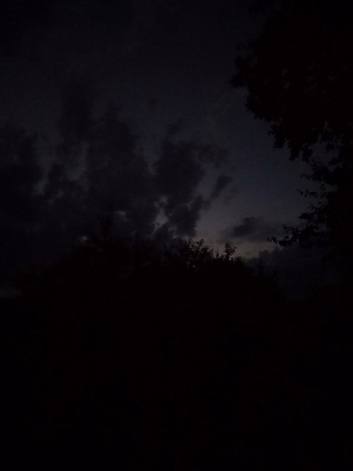 a2608feddf5767628c1ba6ef5087b337.jpg