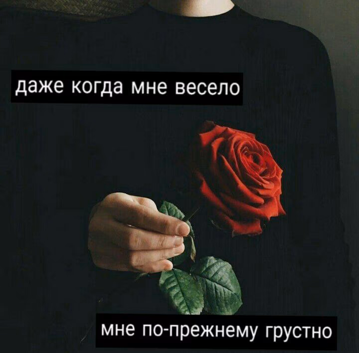 a2641a5bf275397eb2e0c1bb6d23538d.avif
