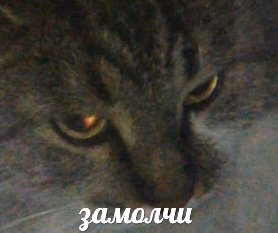 a285c251f7badf7381151c5b18e4f63c.jpg