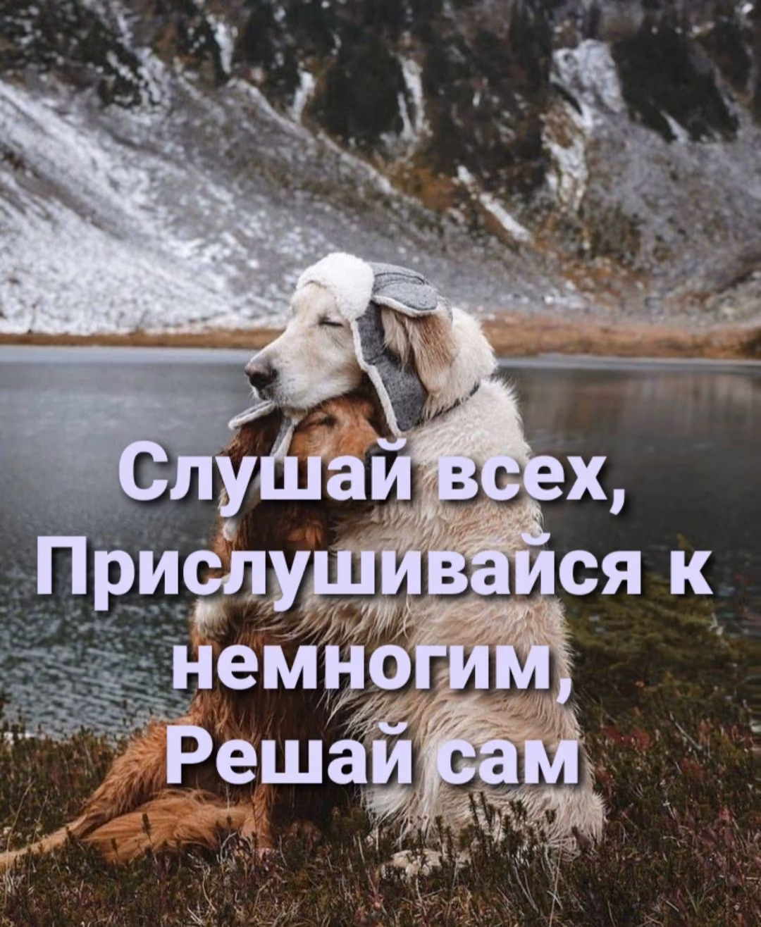 a2956711f8274689ea2bbcaca51c4cb8.jpg